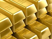 Gold Bars - 22 Oct 213